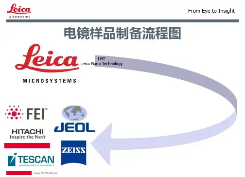 电镜样品制备流程图