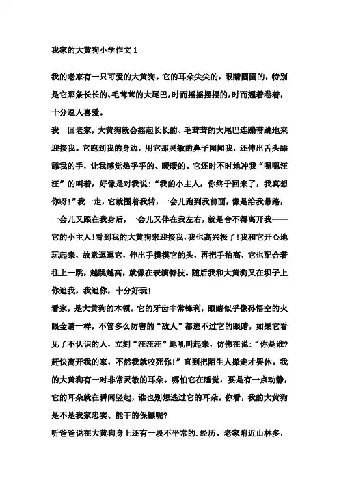 我家的大黄狗作文四年级300字