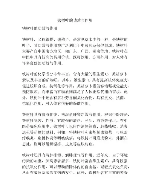 铁树叶的功效与作用