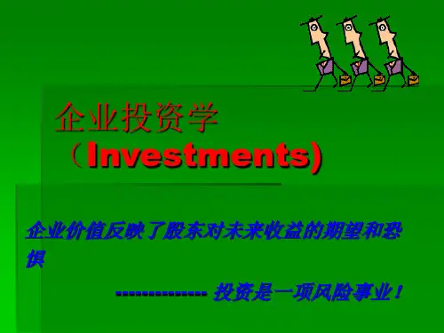 企业投资学新版