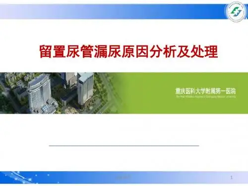 留置尿管漏尿原因分析及处理  ppt课件