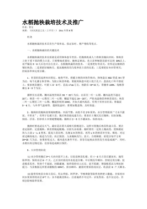 水稻抛秧栽培技术及推广