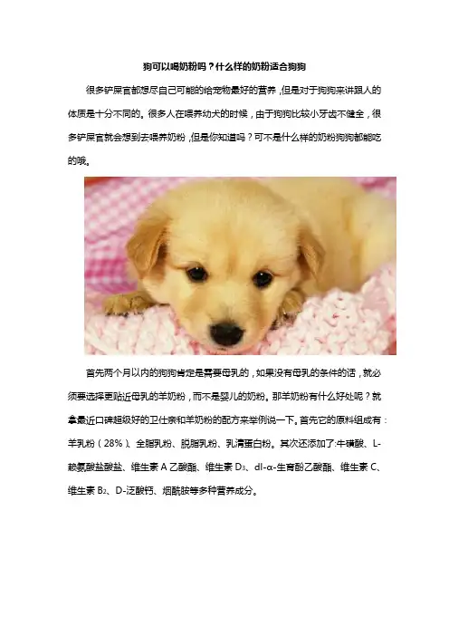 狗可以喝奶粉吗？什么样的奶粉适合狗狗？