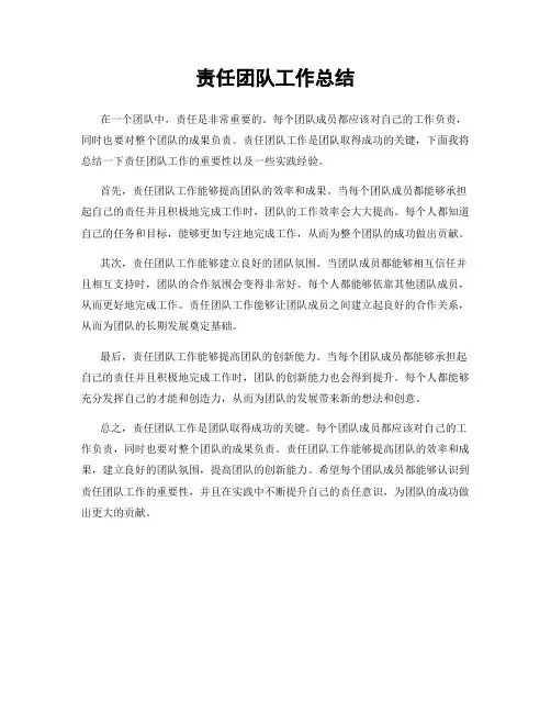 责任团队工作总结
