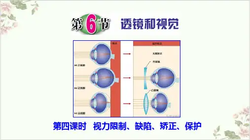 透镜和视觉演示课件浙教版