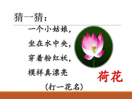 2020年部编人教版一年级语文下册《池上》课件