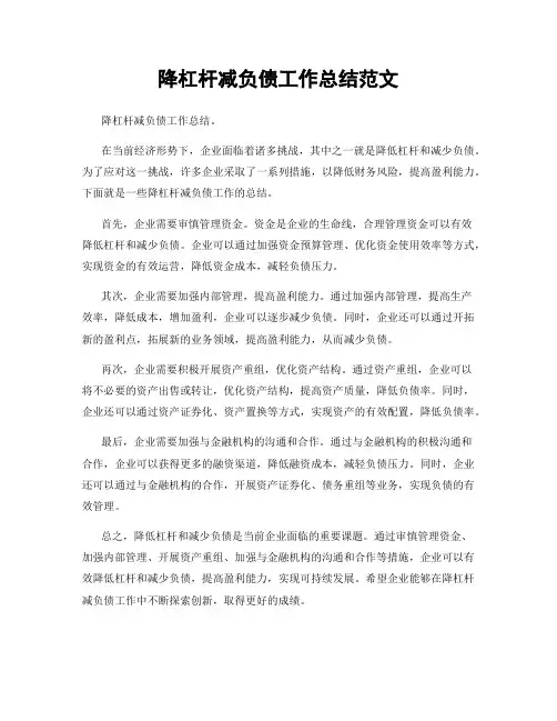 降杠杆减负债工作总结范文