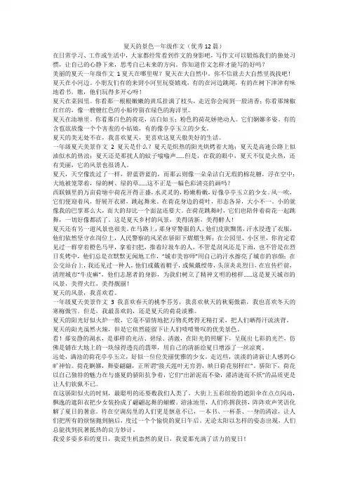 最新-夏天的景色一年级作文(优秀12篇)