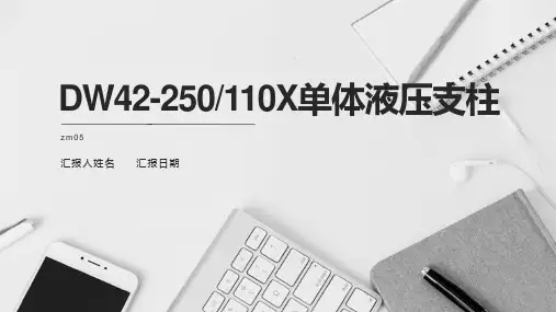 DW42-250110X单体液压支柱特点