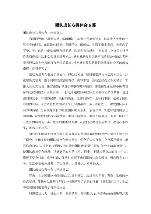 团队成长心得体会5篇
