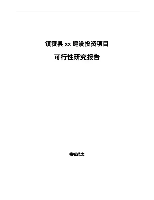 镇赉县项目可行性研究报告可编辑模板