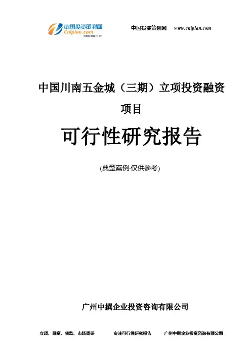 中国川南五金城(三期)融资投资立项项目可行性研究报告(中撰咨询)