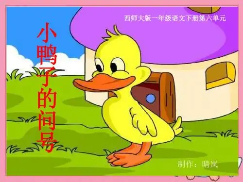 西师版语文第二册《小鸭子的问号》ppt课件