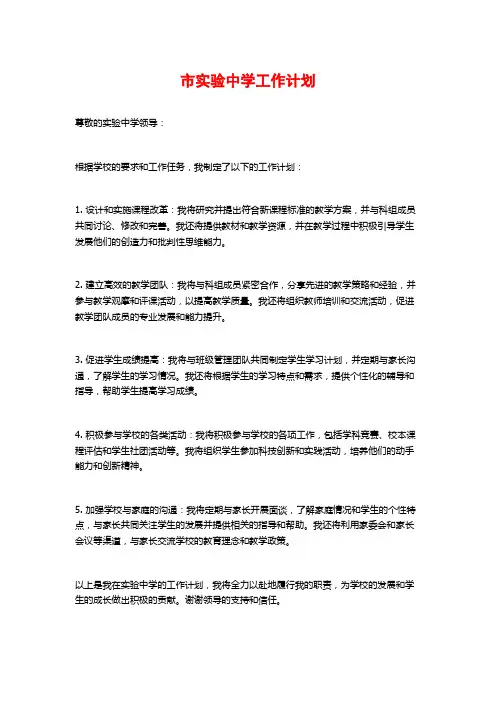 市实验中学工作计划