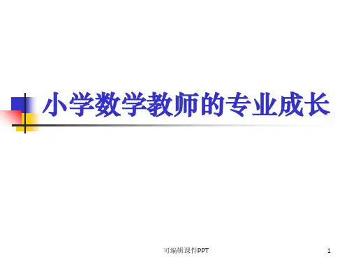 小学数学教师的专业成长(必看资料)ppt课件