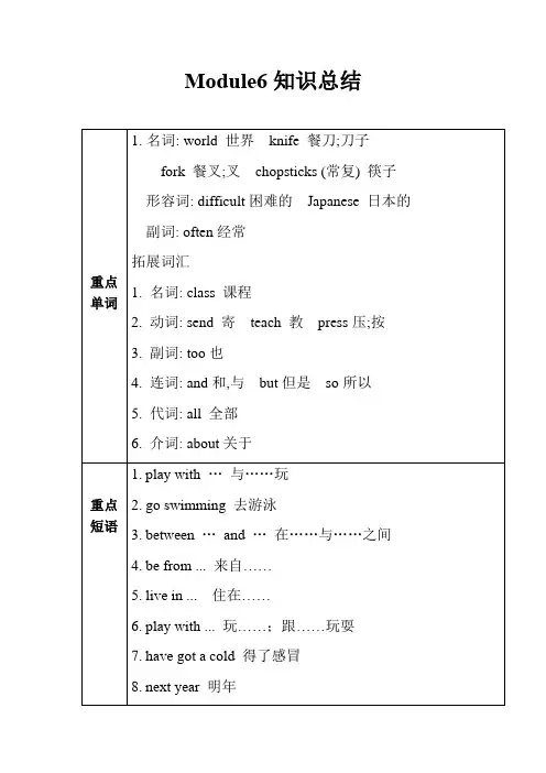 外研版(三起)六年级上册英语Module 6 知识总结(讲义)