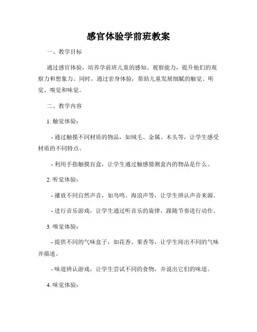 感官体验学前班教案
