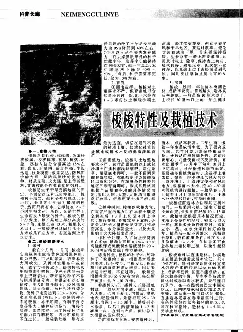 梭梭特性及栽植技术