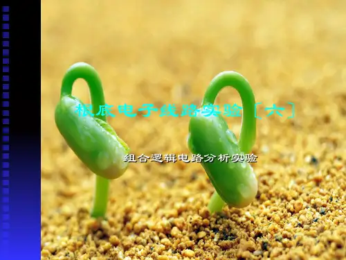 数字电子技术实验 实验二 组合逻辑电路分析幻灯片PPT