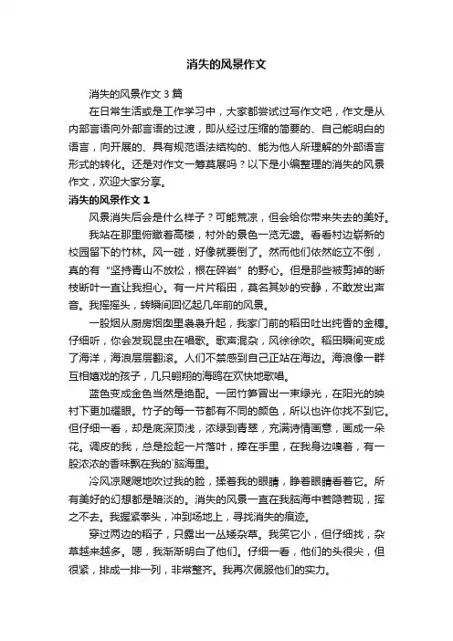 消失的风景作文3篇