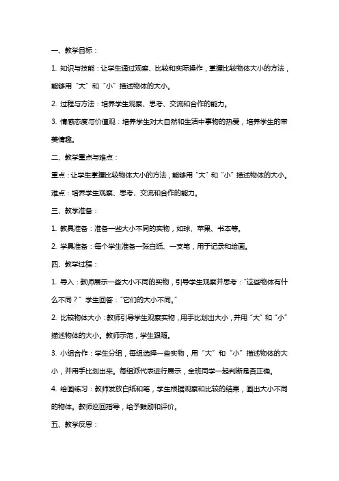 《大还是小》公开课教案