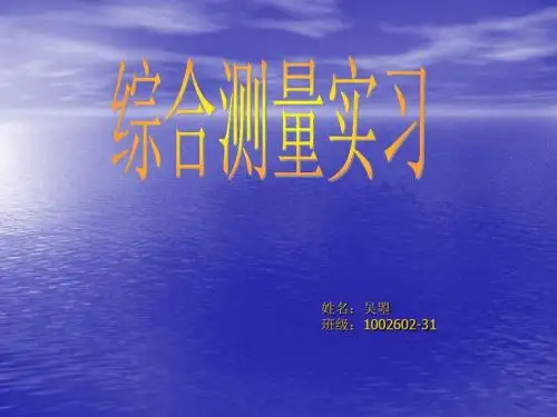 1002602-31吴曌综合实习PPT