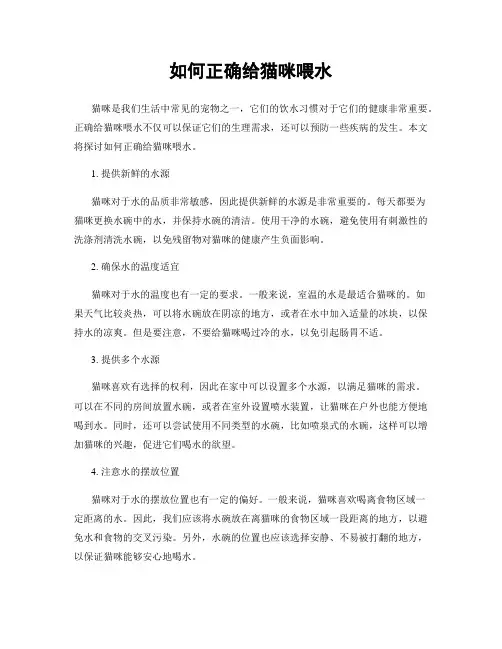 如何正确给猫咪喂水