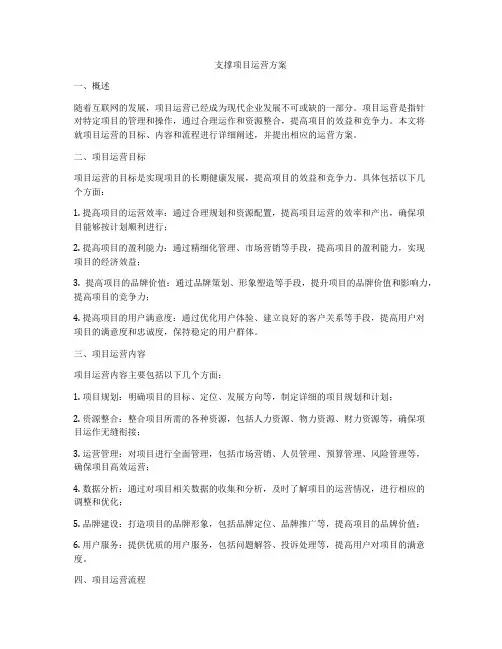 支撑项目运营方案