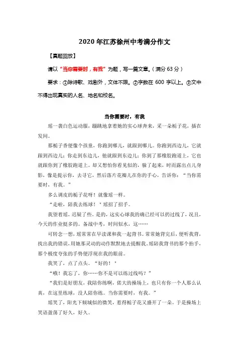 2020年江苏徐州中考满分作文《当你需要时,有我》