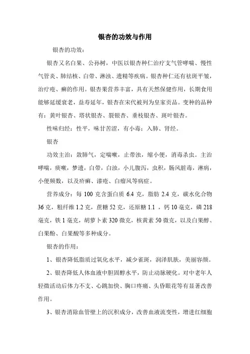 银杏的功效与作用_0