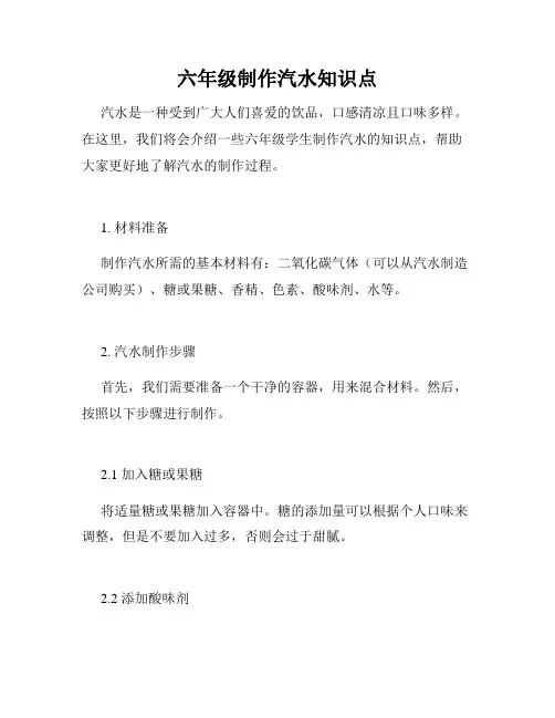 六年级制作汽水知识点