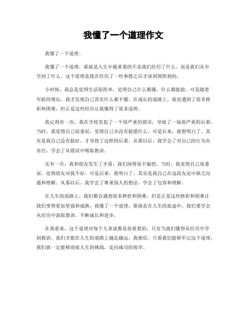 我懂了一个道理作文
