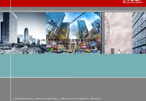 《中山市中原地产西区地块整体定位及营销策略报告》201页