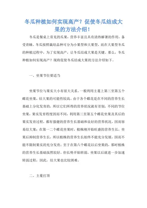 冬瓜种植如何实现高产？促使冬瓜结成大果的方法介绍!
