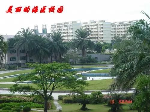 实验循环免疫复合物测定.PEG法测定CIC