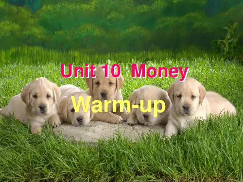 精选高中北师大课标4Unit 10Warm-up公开PPT课件