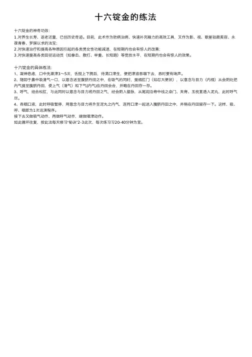 十六锭金的练法