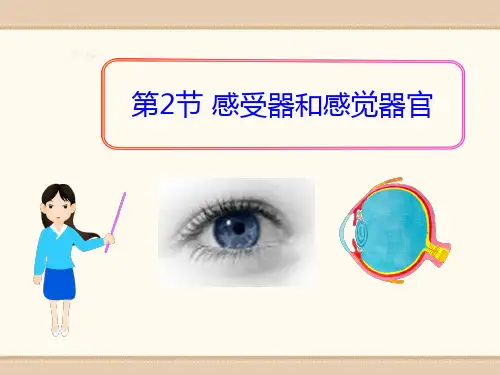 《感受器和感觉器官》PPT-完美版