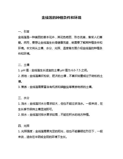 金线莲的种植条件和环境