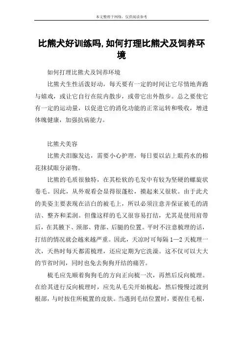 比熊犬好训练吗,如何打理比熊犬及饲养环境