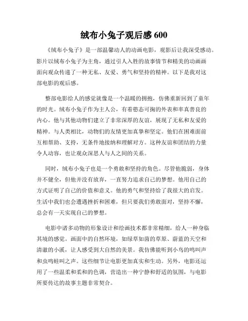 绒布小兔子观后感600