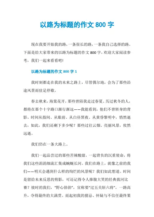 以路为标题的作文800字