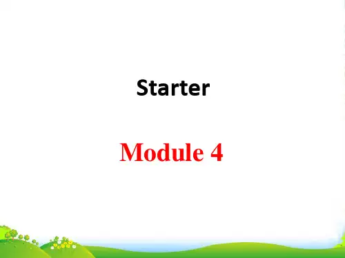 外研版七年级上册 starter Module 4 Unit1共30张PPT
