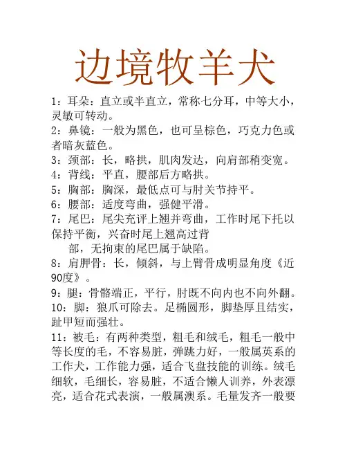 边牧知识与经验