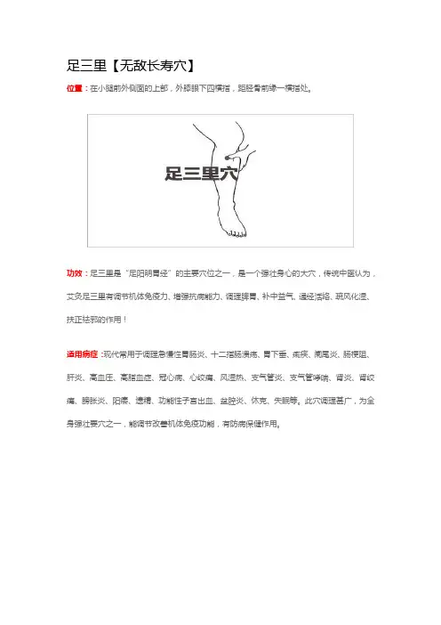 十大养生穴