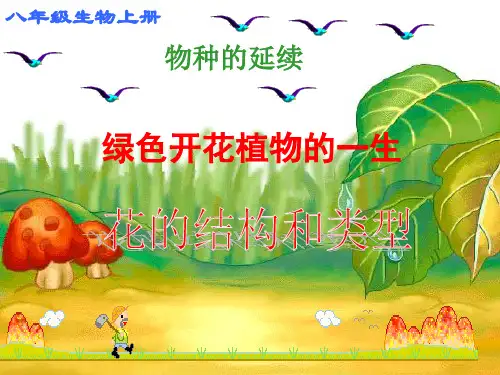 第一节花的结构和类型解析