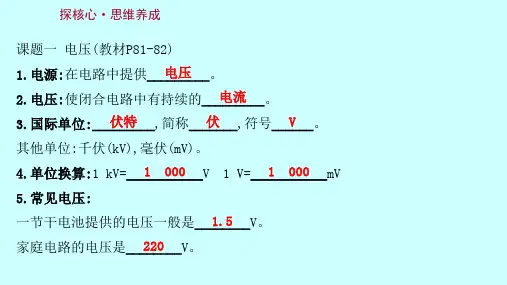沪科版物理九年级全第十四章第五节测量电压习题课件共34张PPT