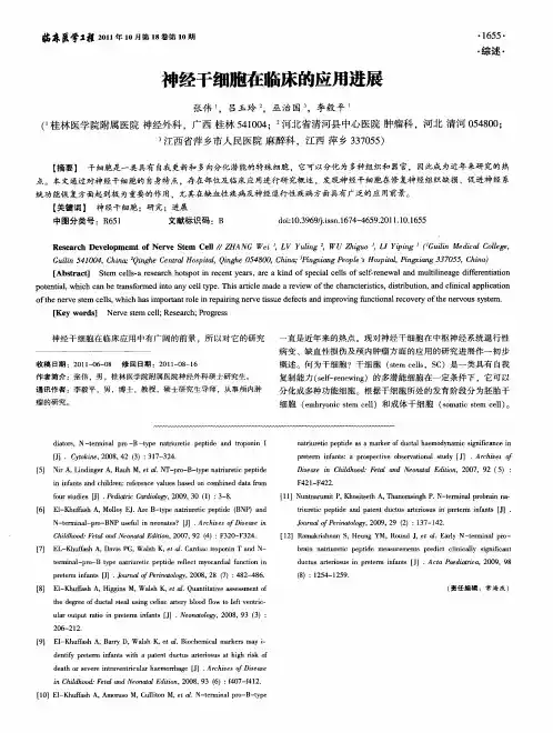 神经干细胞在临床的应用进展