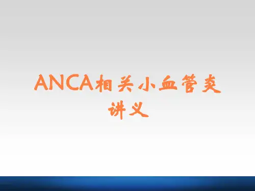 ANCA相关小血管炎讲义
