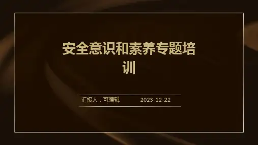 安全意识和素养专题培训PPT课件ppt